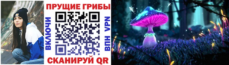 Галлюциногенные грибы GOLDEN TEACHER  цены наркотик  Юхнов 